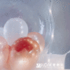 波波球花束<br><span style="font-size: 20px;">(客製款70cm)</span>：圖片 5